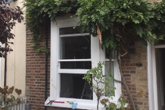 Downstairs sash window with wisteria